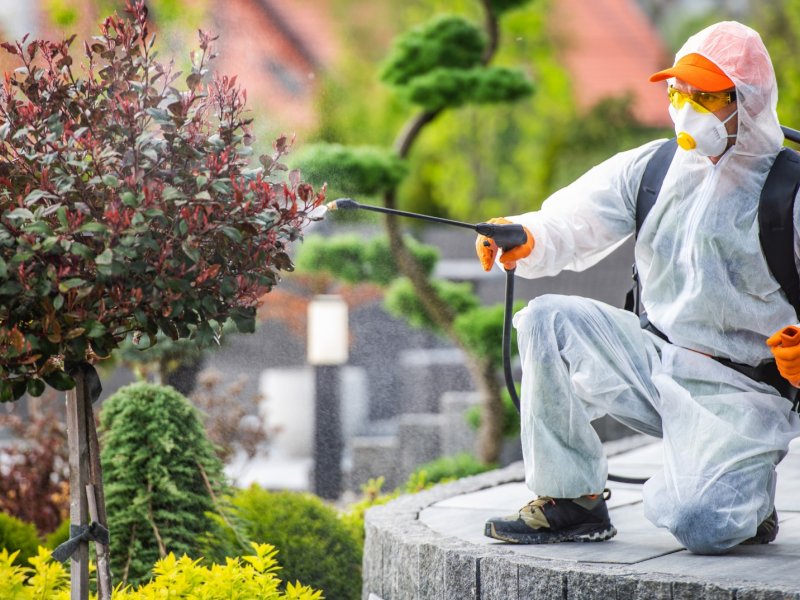 Kozaklı Haşere İlaçlama